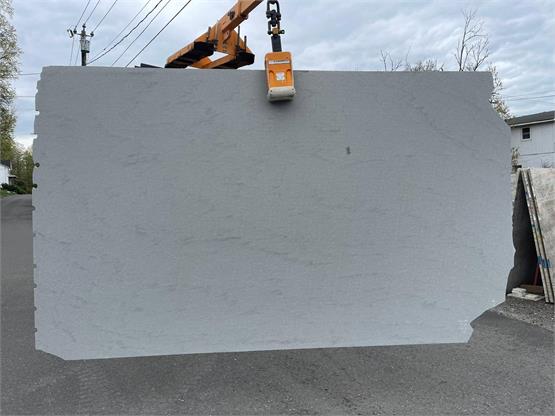 Pacific Grey